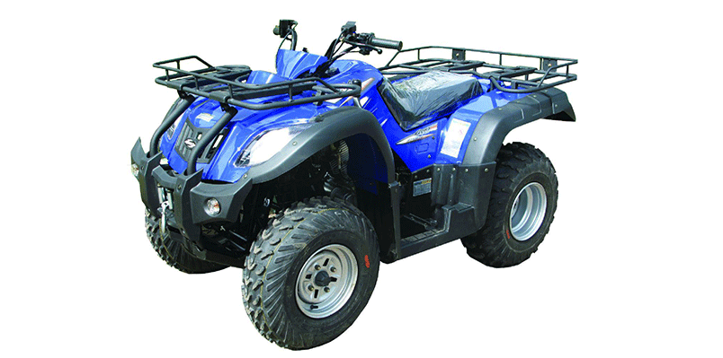 ATV 300